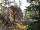 photo thumbnail #9