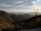 photo thumbnail #13