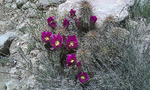 photo thumbnail #6