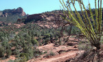 photo thumbnail #7