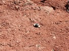 photo thumbnail #13