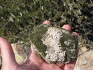 photo thumbnail #5