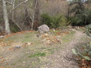 photo thumbnail #10