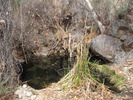 photo thumbnail #11