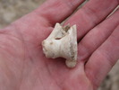 photo thumbnail #13