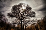 photo thumbnail #8