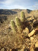 photo thumbnail #3