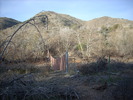 photo thumbnail #6