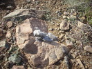 photo thumbnail #12