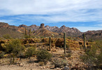 photo thumbnail #9