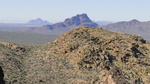 photo thumbnail #8