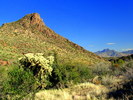 photo thumbnail #4