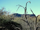 photo thumbnail #6
