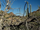 photo thumbnail #8