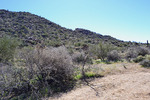 photo thumbnail #6