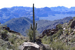 photo thumbnail #8