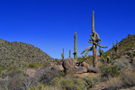 photo thumbnail #15