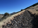 photo thumbnail #2