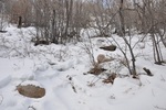 photo thumbnail #6