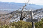 photo thumbnail #8