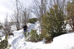 photo thumbnail #9