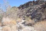 photo thumbnail #1