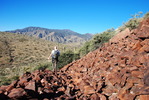 photo thumbnail #6