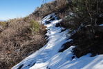 photo thumbnail #14