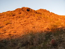 photo thumbnail #5