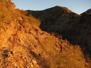 photo thumbnail #6