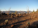photo thumbnail #7