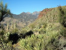 photo thumbnail #7