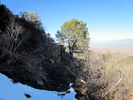 photo thumbnail #13