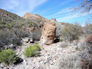 photo thumbnail #11