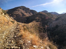 photo thumbnail #1