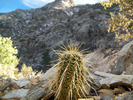 photo thumbnail #3