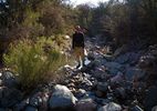 photo thumbnail #2