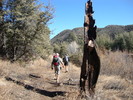 photo thumbnail #6