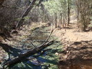 photo thumbnail #7
