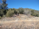 photo thumbnail #9