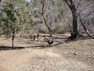 photo thumbnail #10