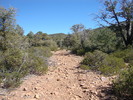 photo thumbnail #11