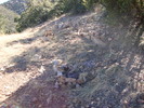 photo thumbnail #12