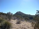 photo thumbnail #13