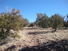 photo thumbnail #14
