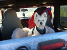 photo thumbnail #1