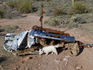 photo thumbnail #4