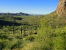 photo thumbnail #1