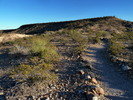 photo thumbnail #8