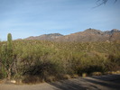 photo thumbnail #2